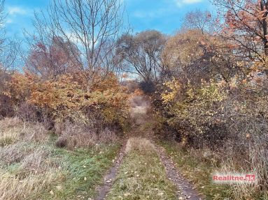 photo_53_2025-11-12_20-30-29