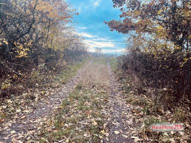 photo_55_2025-11-12_20-30-29