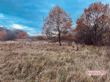 photo_67_2025-11-12_20-30-29