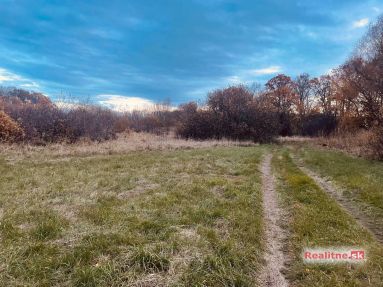 photo_70_2025-11-12_20-30-29