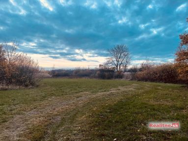 photo_81_2025-11-12_20-30-29