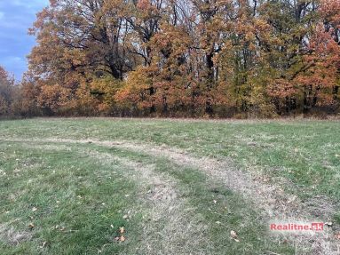 photo_84_2025-11-12_20-30-29