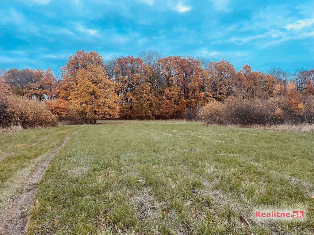 Pozemok - Lúka, Malé Leváre, 26 385 m²