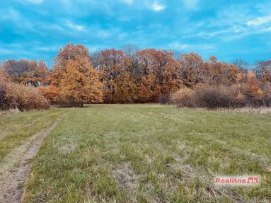 photo_94_2025-11-12_20-30-29 Pozemok - Lúka, Malé Leváre, 26 385 m²