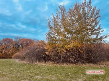 photo_97_2025-11-12_20-30-29