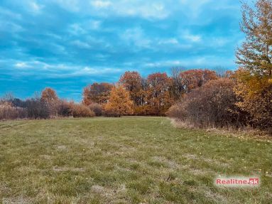 photo_98_2025-11-12_20-30-29