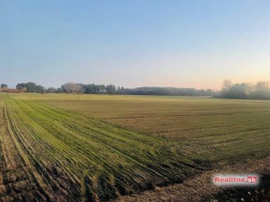 photo_2025-11-06_17-33-58