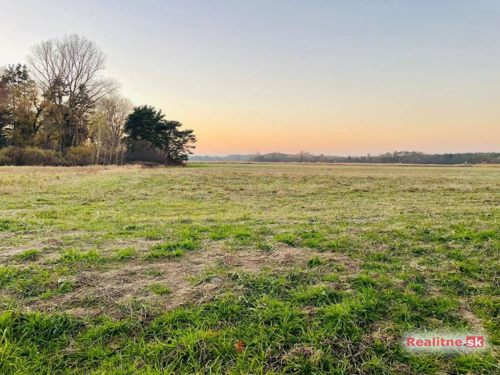 Veľký Pozemok 45 172 m² pri Malých Levároch