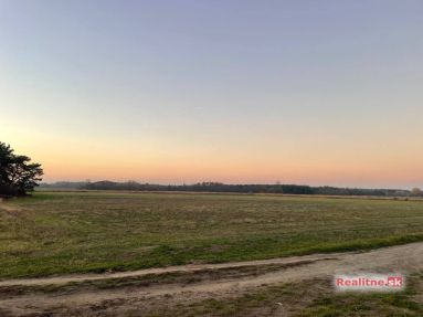 photo_35_2025-11-12_20-31-55