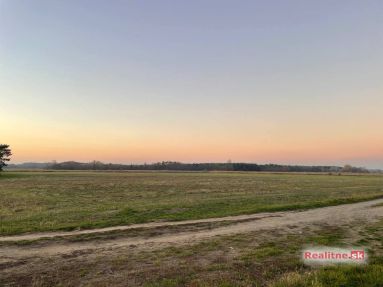 photo_36_2025-11-12_20-31-55