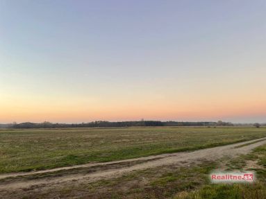 photo_37_2025-11-12_20-31-55