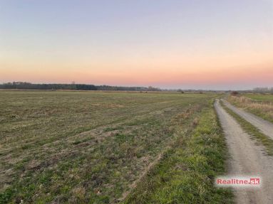 photo_40_2025-11-12_20-31-55