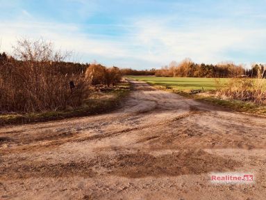 photo_48_2024-03-01_04-13-47
