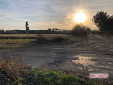 photo_80_2024-03-01_04-13-47