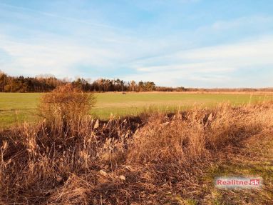 photo_88_2024-03-01_04-13-47