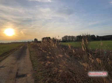 photo_89_2024-03-01_04-13-47