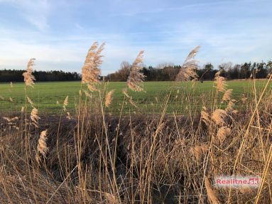 photo_90_2024-03-01_04-13-47