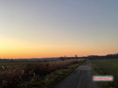 photo_95_2025-11-12_20-31-33