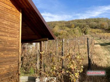 3a2cbf9a-b77d-4f6f-a883-0c949acd6384