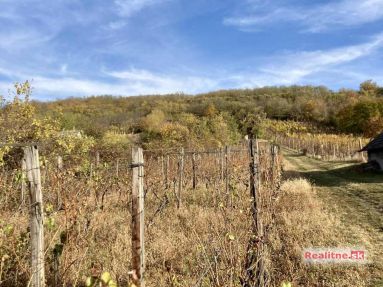 7955bb3d-ef11-45b3-8708-8eee91dc6b51