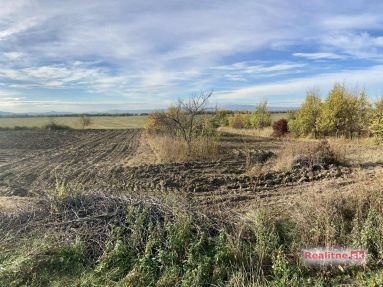 d43e8b85-bfaa-4ea3-ad5d-6883003adb52